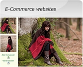 E-Commerce websites